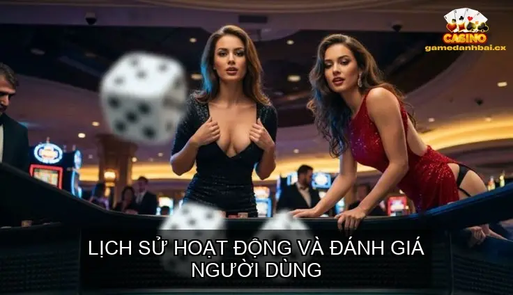 Lịch sử hoạt động và đánh giá người dùng