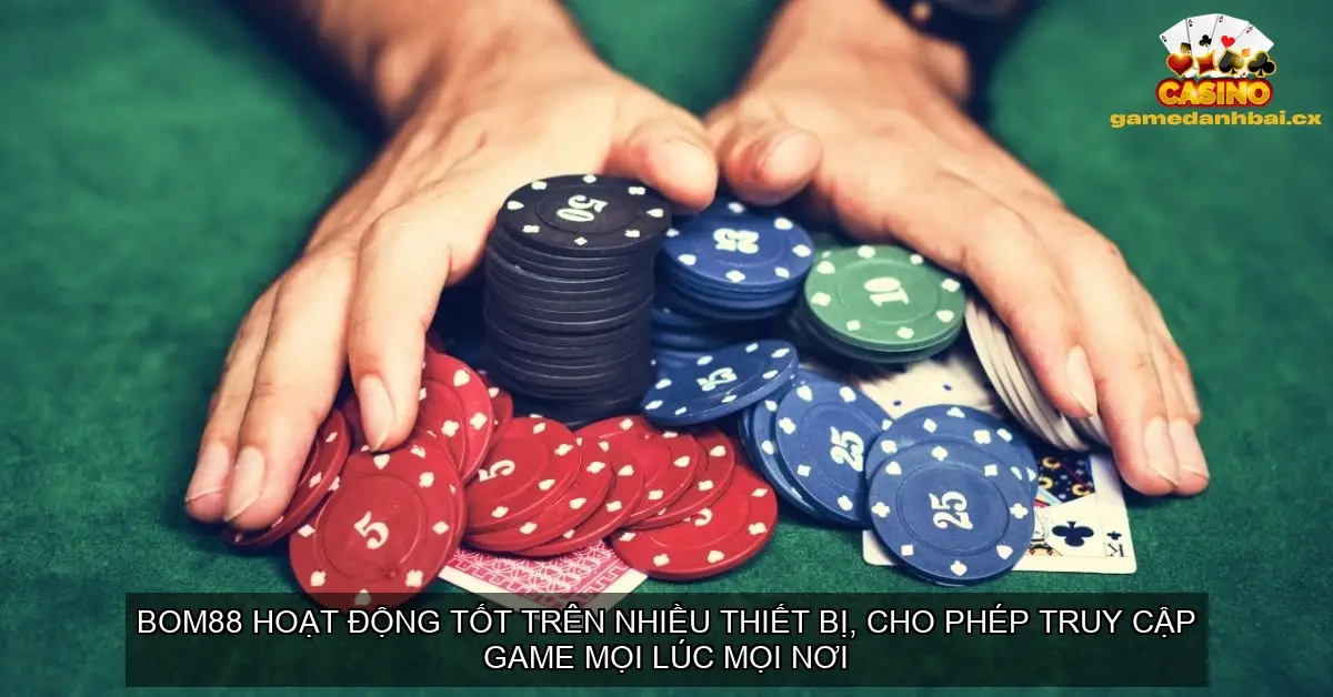 Khả năng tương thích và hỗ trợ khách hàng