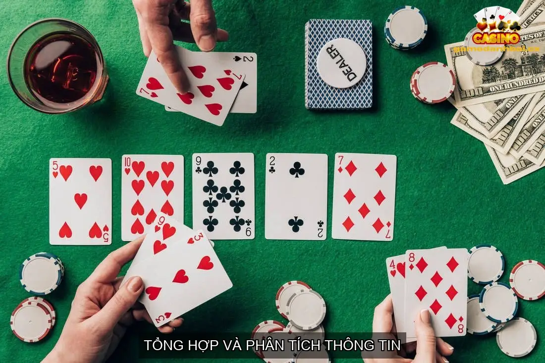 Tổng hợp và phân tích thông tin