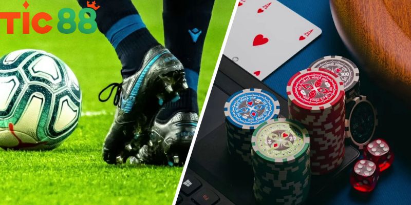 Thông tin chi tiết về giấy tờ chúng minh TIC88 có hợp pháp không?